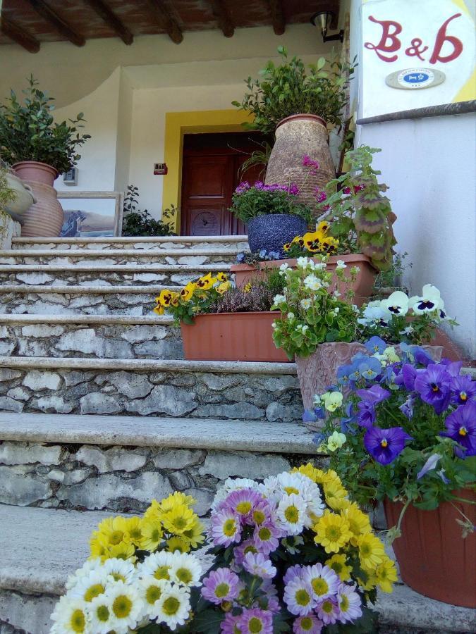 Casa D' Artista B&B Оцьери Экстерьер фото