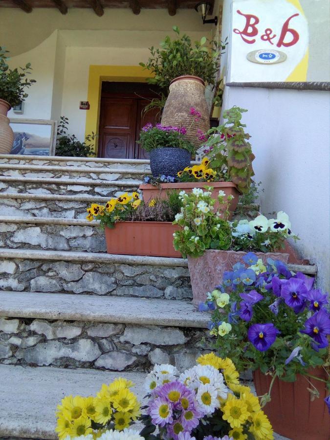 Casa D' Artista B&B Оцьери Экстерьер фото