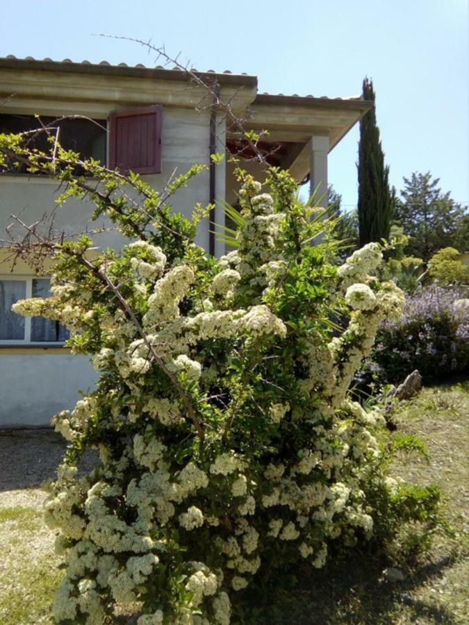Casa D' Artista B&B Оцьери Экстерьер фото